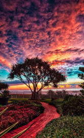 Queensland Australia 