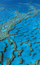 Hardy Reef