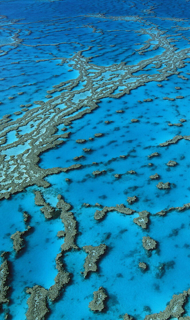 Hardy Reef