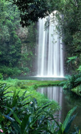 Millaa Millaa Falls