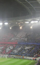 Steaua Supporters