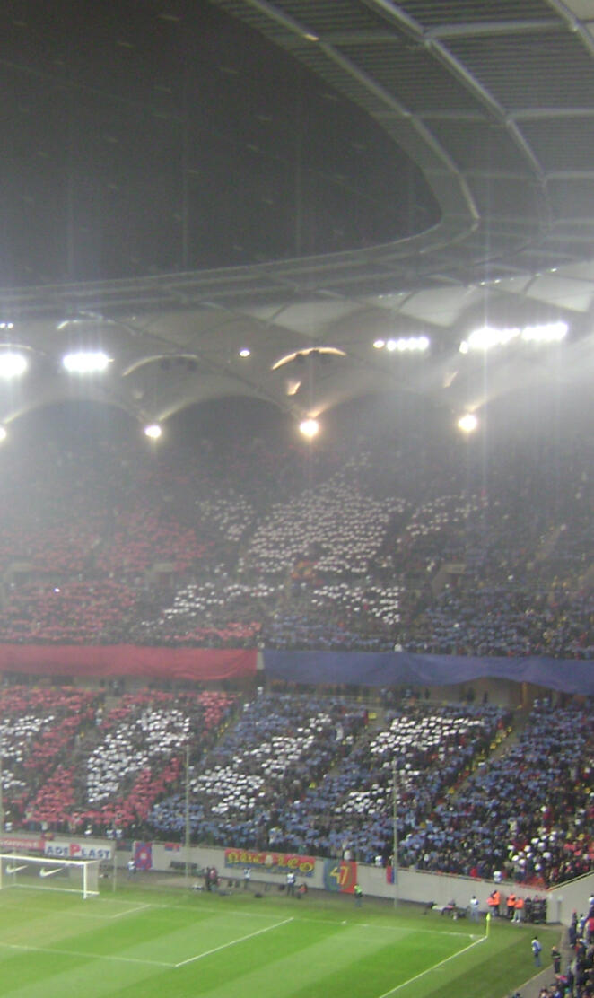 Steaua Supporters