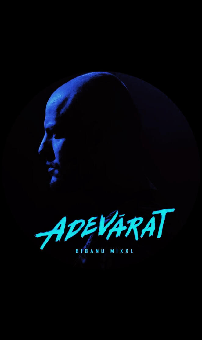 Bibanu MixXL Adevar