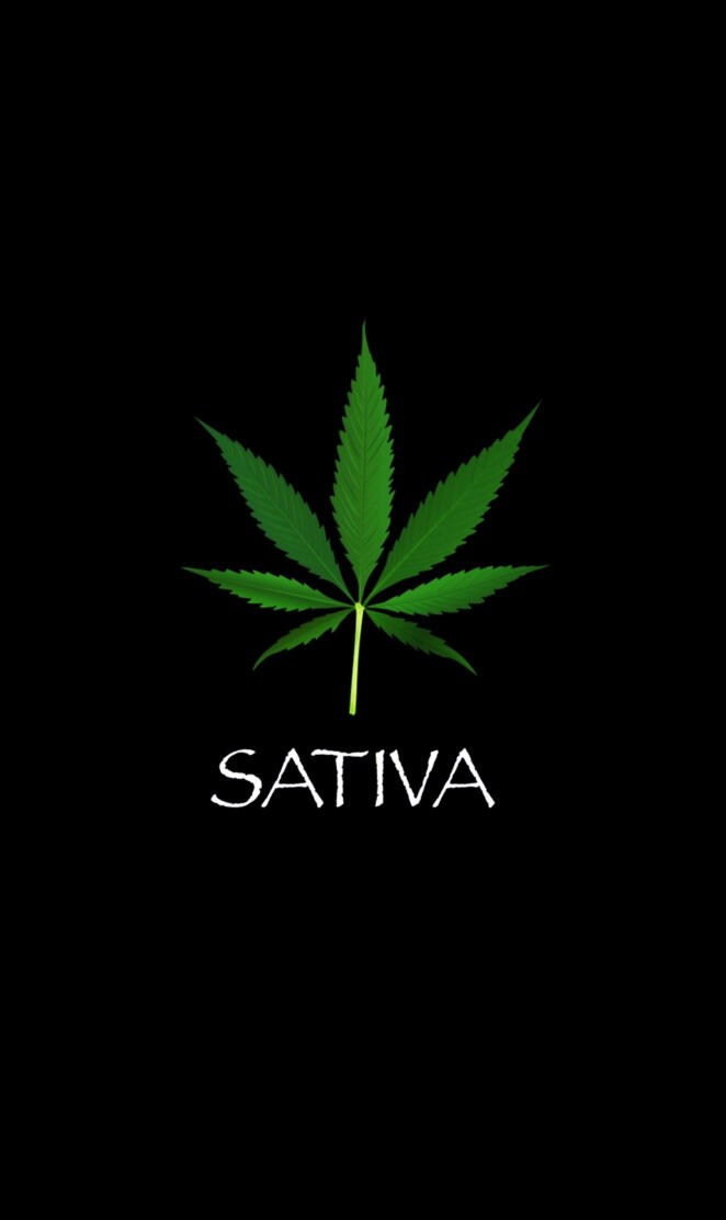 Sativa