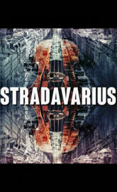 Stradavarius Sisu