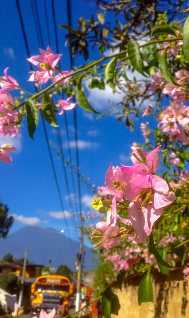 San Juan del Obispo