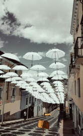 City umbrella