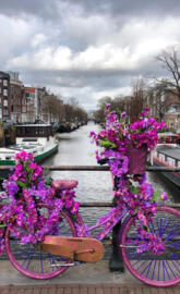 Amsterdam Netherlands 