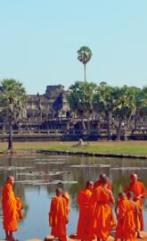 Young Buddhist Monks