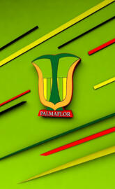 Palmaflor