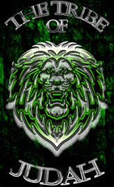 Judah Tribe Green