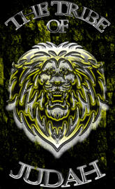 Judah Tribe Yellow