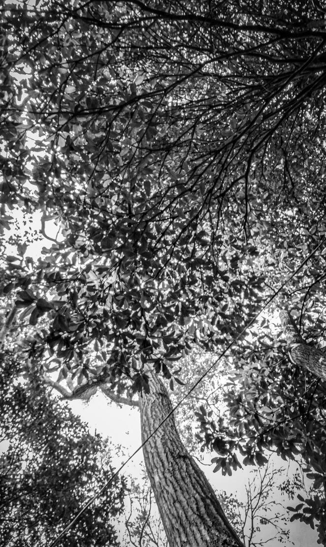 Nicaragua Blackwhite