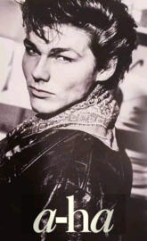 Morten Harket a-ha 