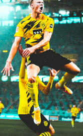 Erling Braut Haaland