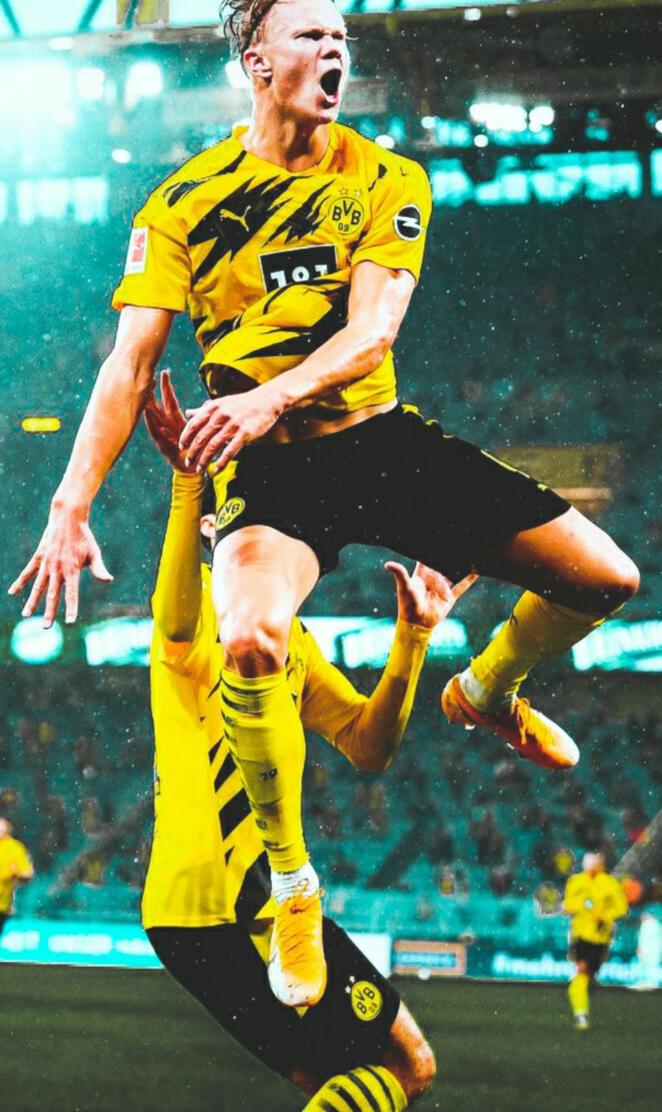 Erling Braut Haaland