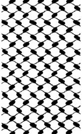 Palestinian Keffiyeh