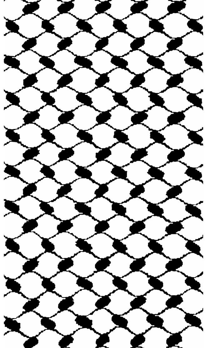 Palestinian Keffiyeh