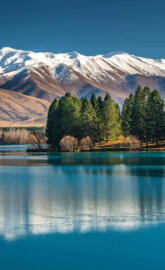 McKenzie new Zealand 