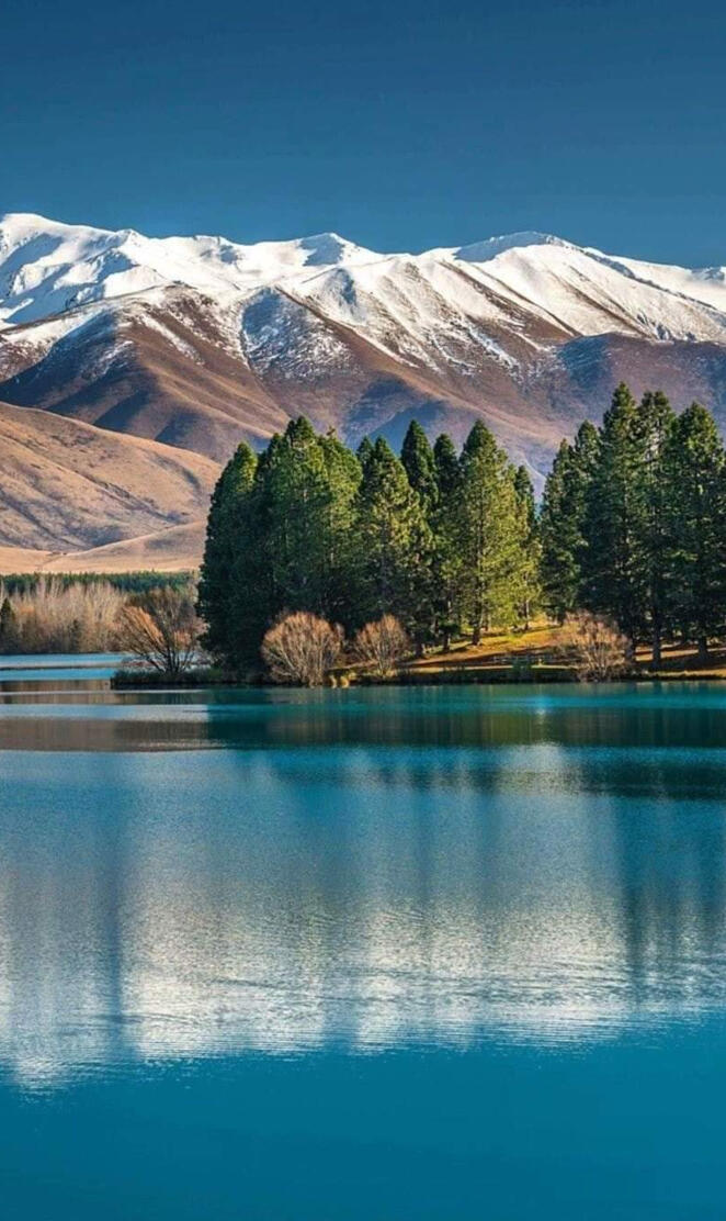 McKenzie new Zealand 