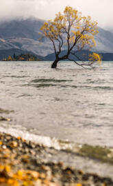 Wanaka new Zealand 