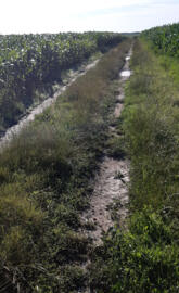 Croatian countryside