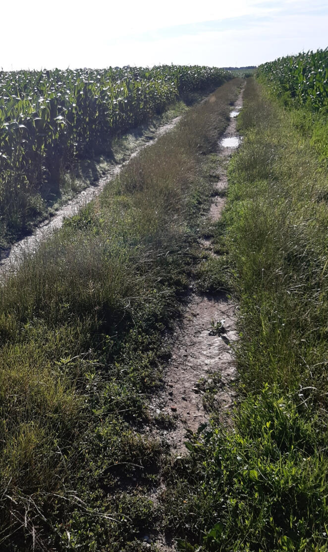 Croatian countryside