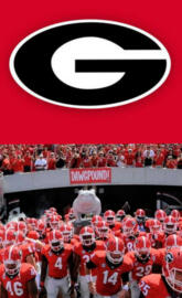 Georgia bulldogs