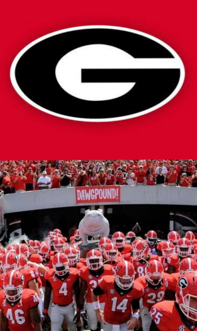 Georgia bulldogs