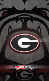 Georgia Bulldogs 