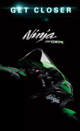 Ninja ZX10R