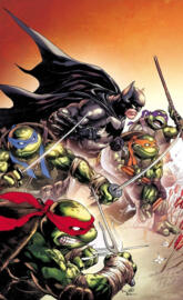 Batman TMNT