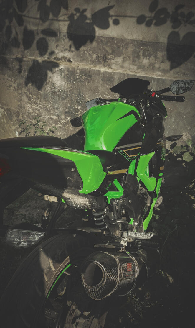 Kawasaki Ninja 125