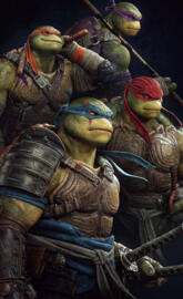 The Ninja Turtles