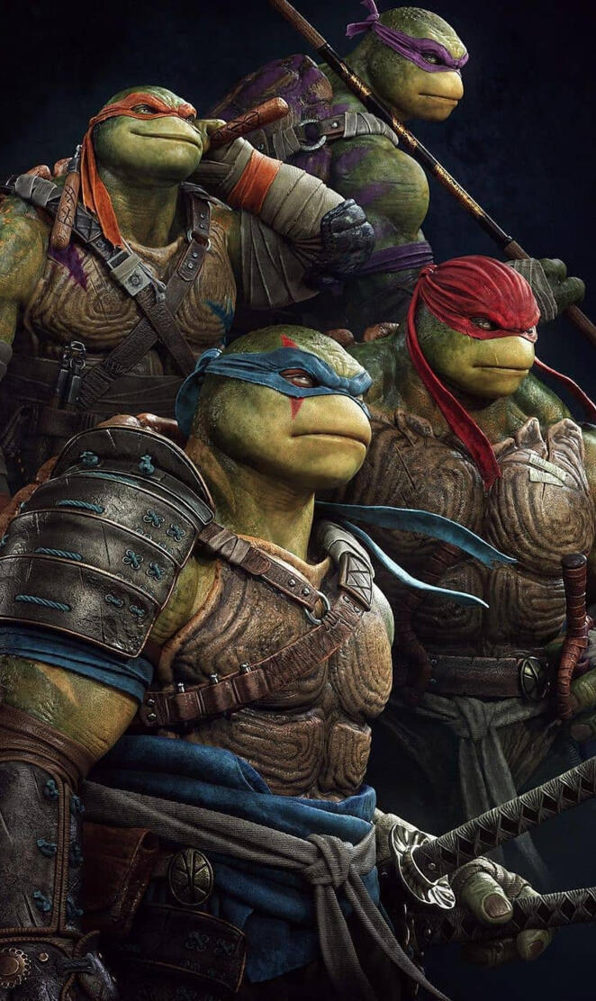 The Ninja Turtles