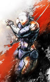 Gray Fox
