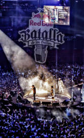 RedBull gallos