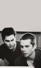 Sterek 5