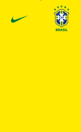 Brazil copa america