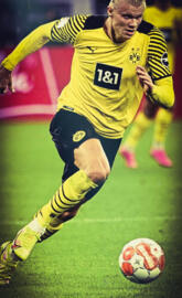 Erling Braut Haaland