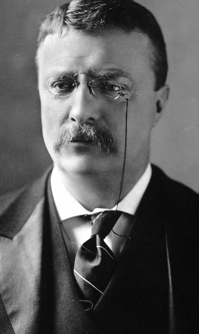 Theodore Roosevelt
