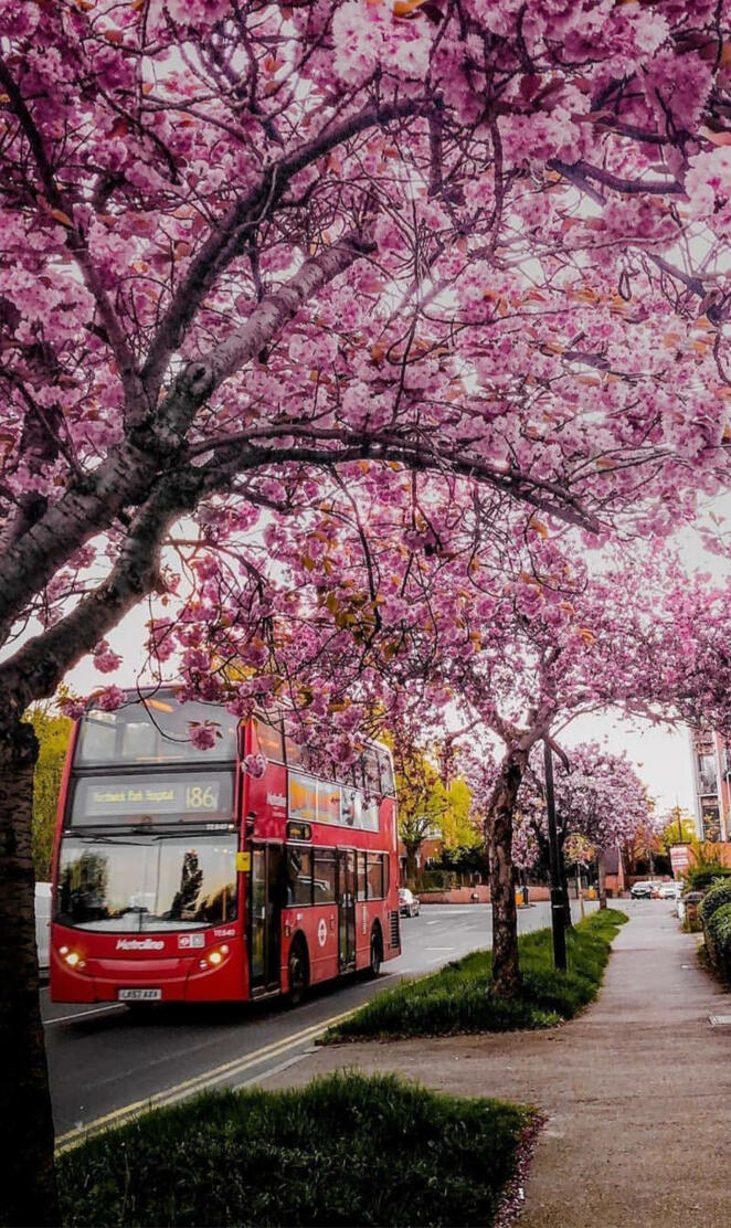 The beauty of London