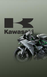 Kawasaki Ninja