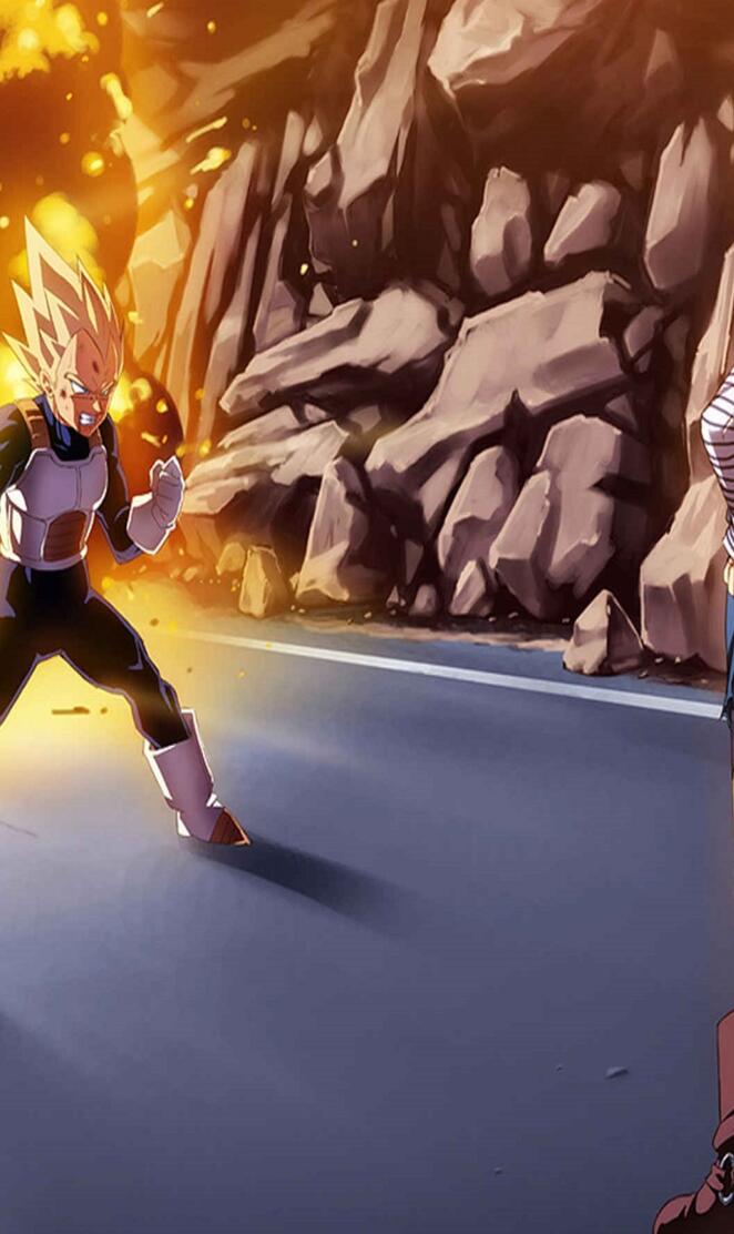 Vegeta vs