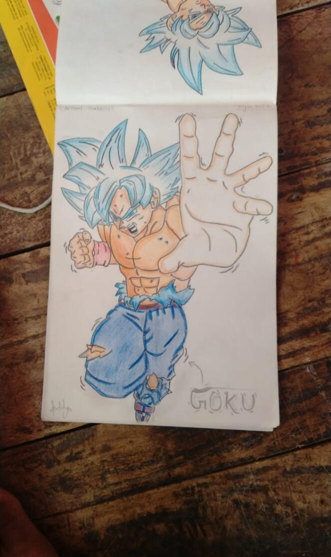 Dragon Ball Z Goku