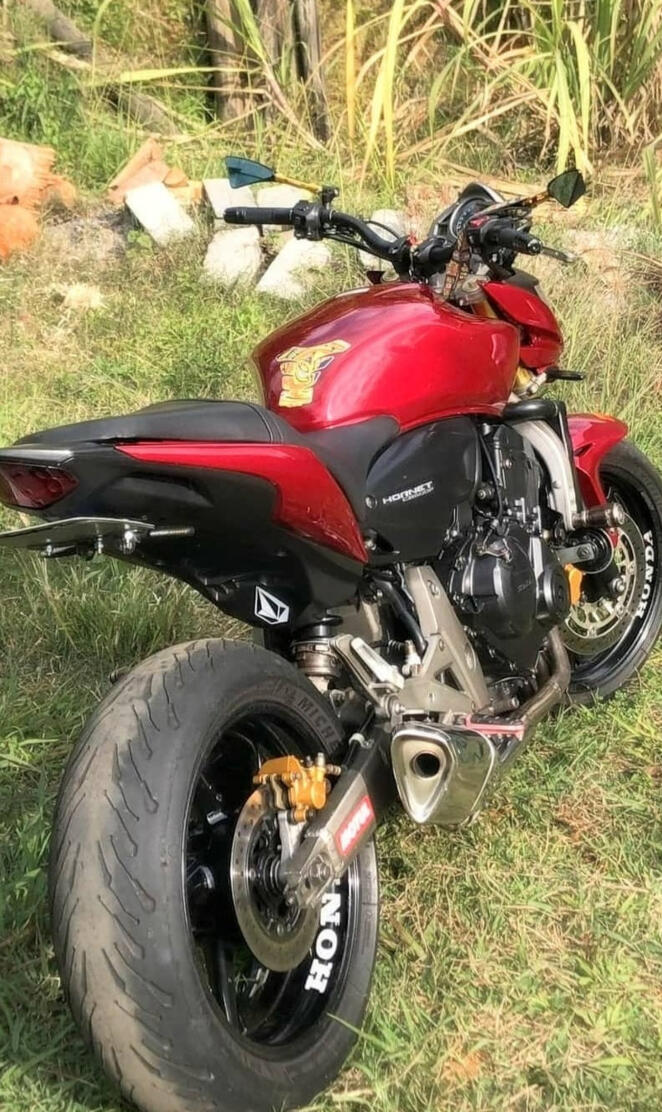 Honda hornet
