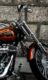 Harley Davidson