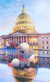 Hisuian Zorua tours DC