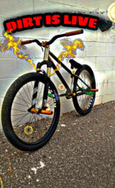 Dirt bicycle