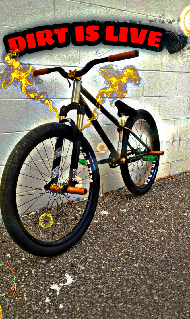 Dirt bicycle